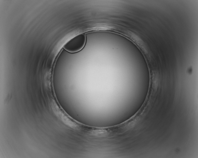 X0000116841186200912181450