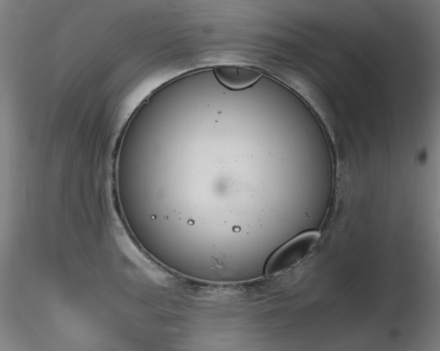 X0000116841187200912181450
