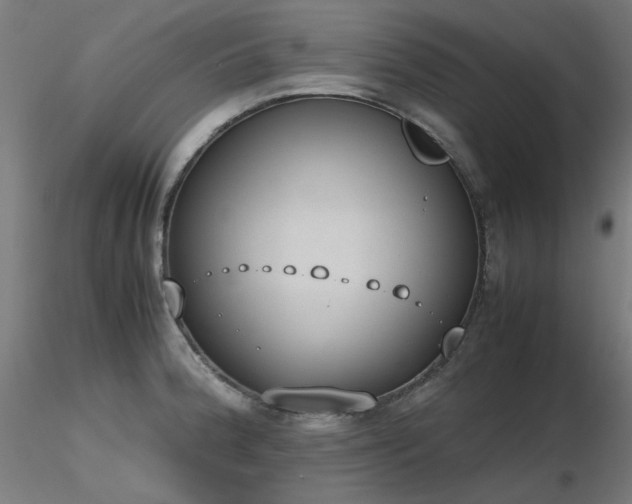 X0000116841188200912181450
