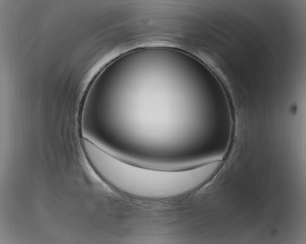 X0000116841189200912181450
