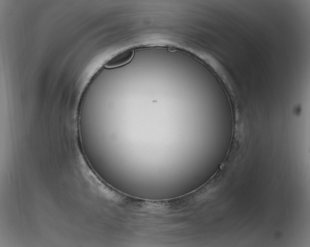 X0000116841191200912181450