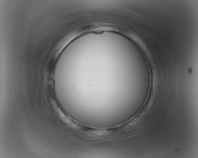 X0000116841193200912181450