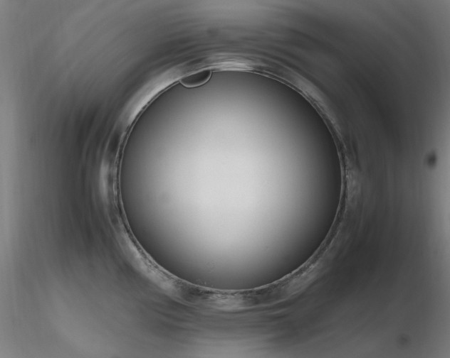 X0000116841194200912181450