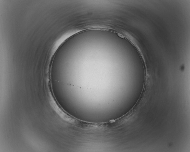 X0000116841195200912181450