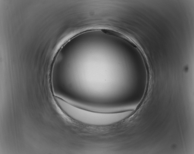 X0000116841197200912181450