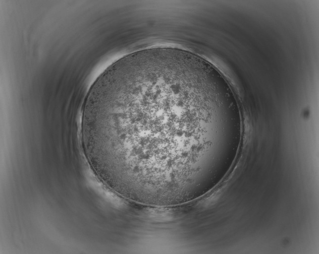 X0000116841198200912181450