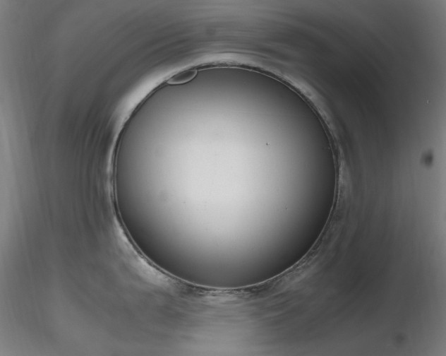 X0000116841199200912181450