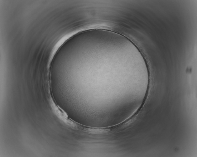 X0000116841200200912181450