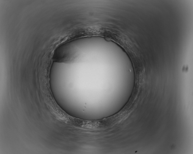 X0000116841201200912181449