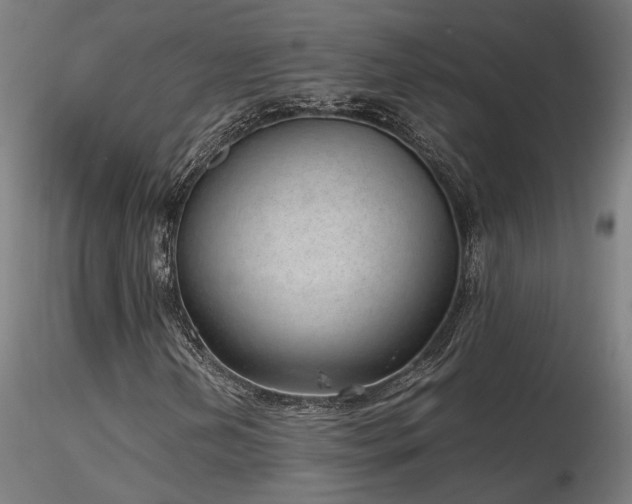 X0000116841202200912181449