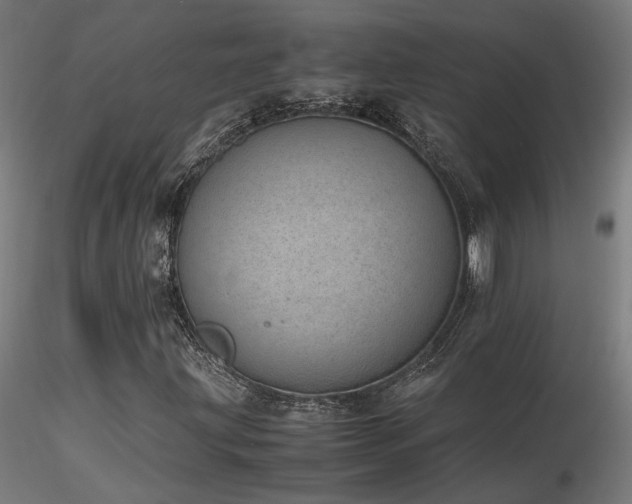 X0000116841203200912181449