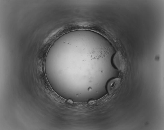 X0000116841205200912181450
