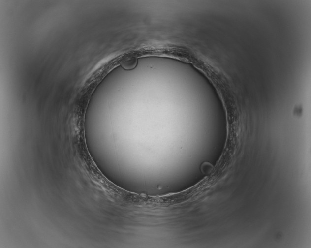 X0000116841206200912181450
