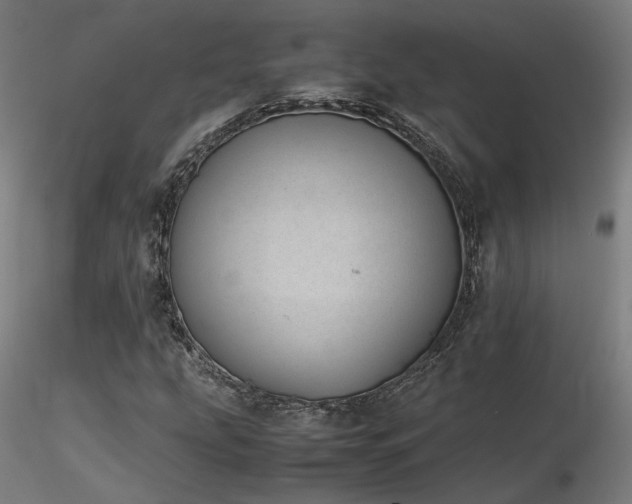 X0000116841207200912181450
