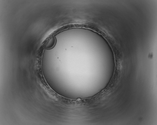 X0000116841208200912181450