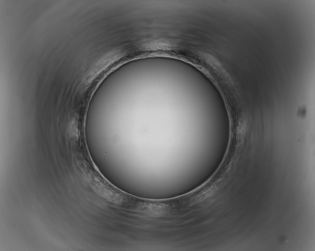 X0000116841209200912181450