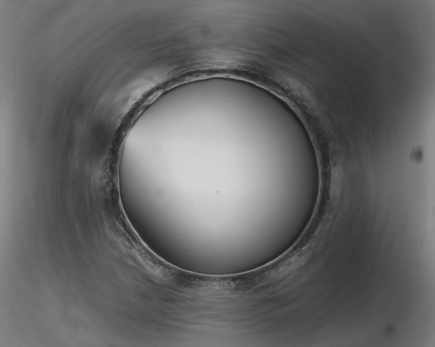 X0000116841210200912181450