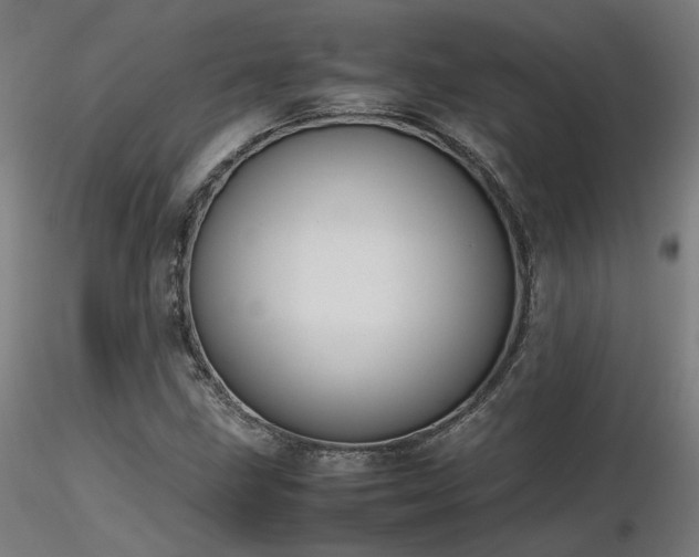 X0000116841211200912181450