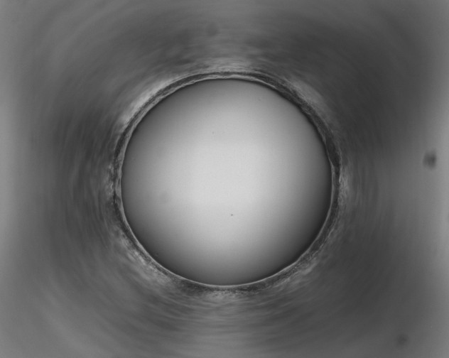 X0000116841212200912181450