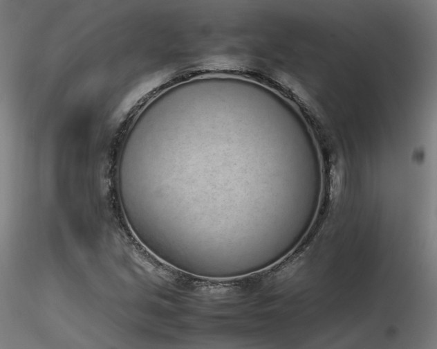 X0000116841213200912181450