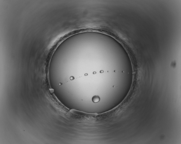 X0000116841214200912181450