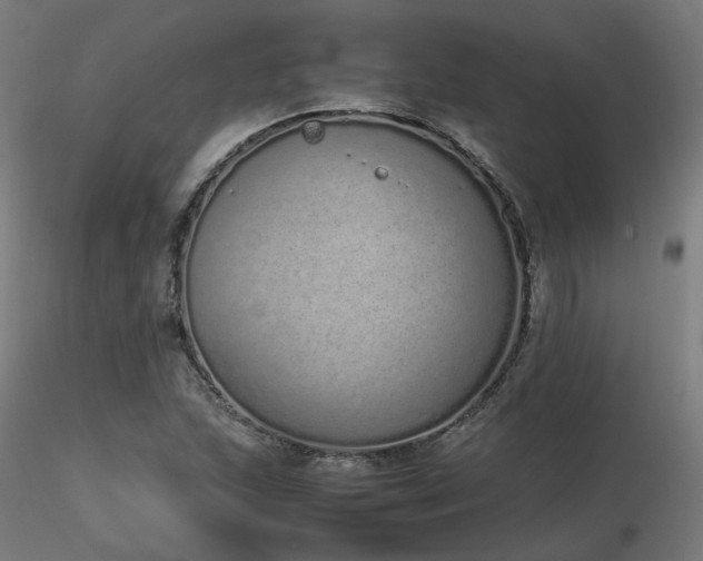 X0000116841215200912181450
