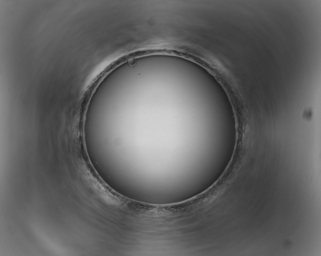 X0000116841216200912181450