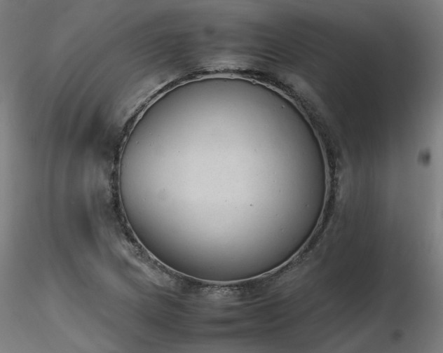 X0000116841217200912181450