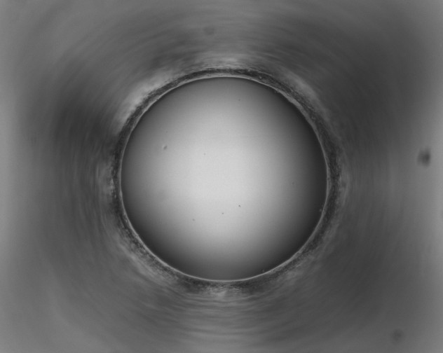 X0000116841218200912181450