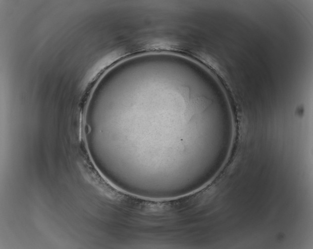 X0000116841219200912181450