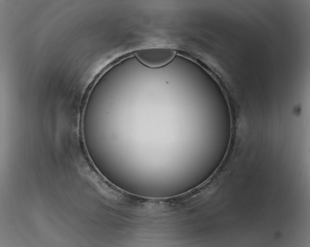 X0000116841220200912181450