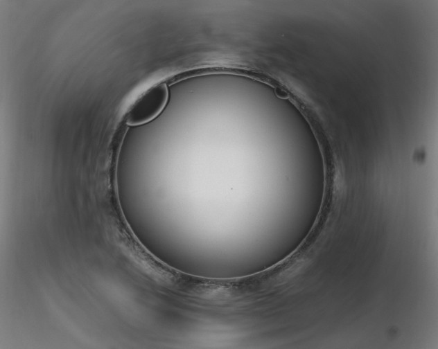 X0000116841222200912181450