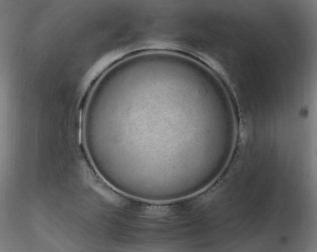 X0000116841223200912181450