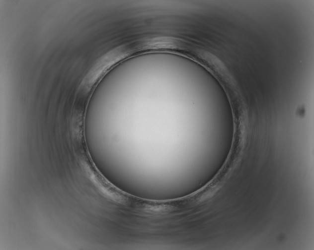 X0000116841225200912181450