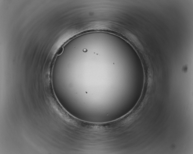 X0000116841226200912181450