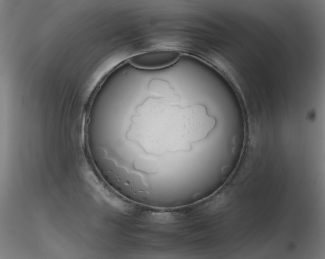 X0000116841227200912181450