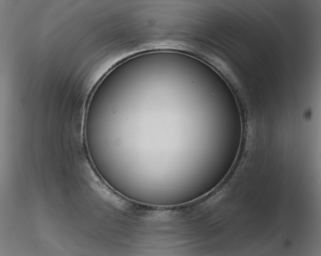X0000116841228200912181450