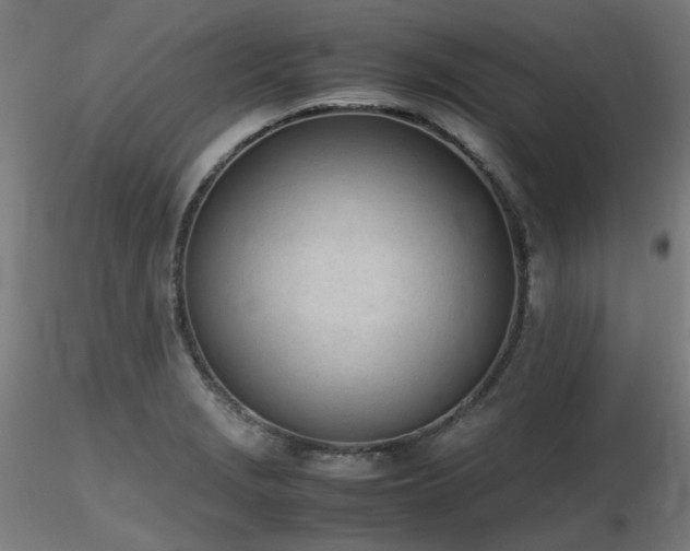 X0000116841229200912181450