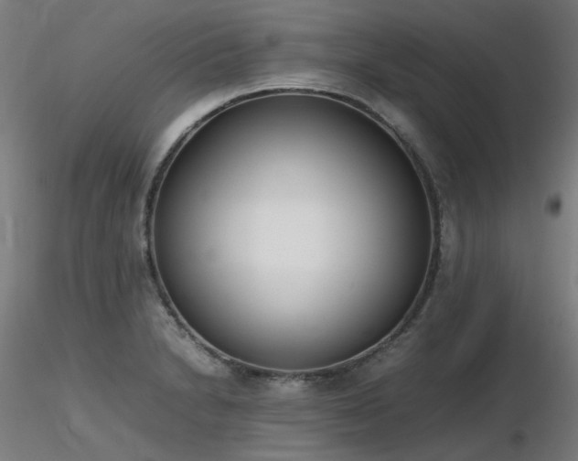 X0000116841230200912181450