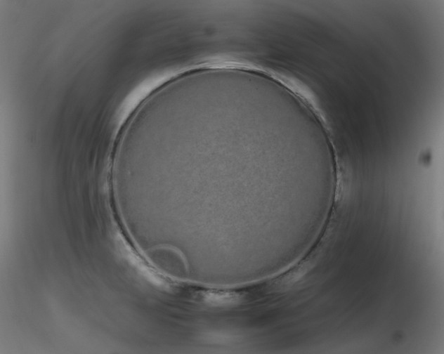X0000116841231200912181450