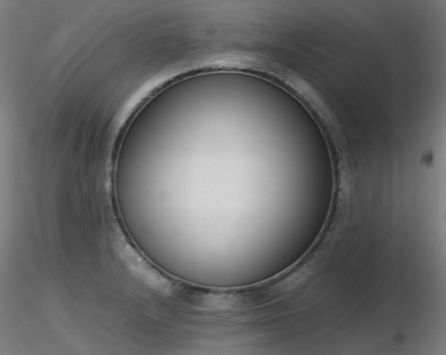 X0000116841232200912181450