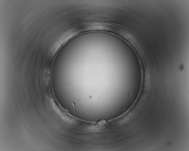 X0000116841233200912181450