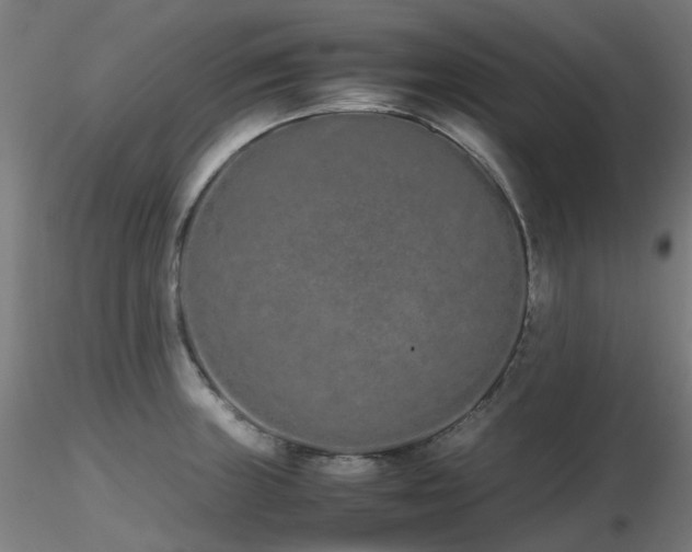 X0000116841235200912181450