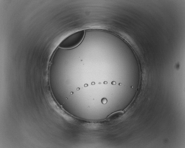X0000116841236200912181450
