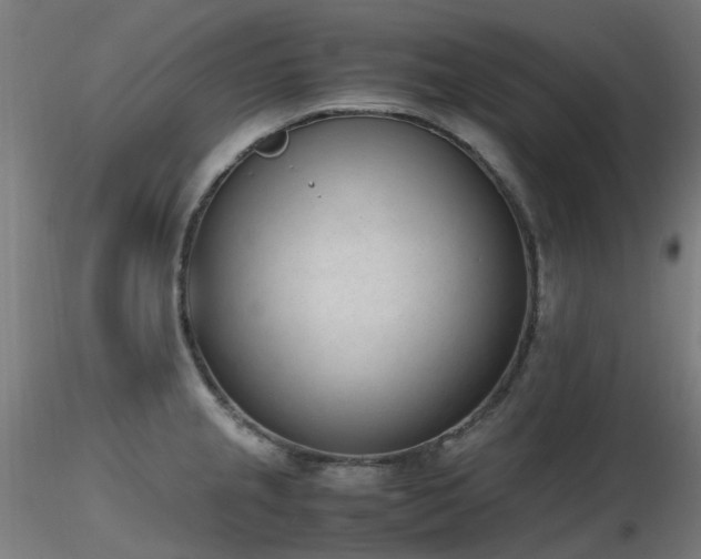 X0000116841237200912181450