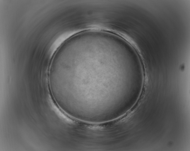X0000116841239200912181450