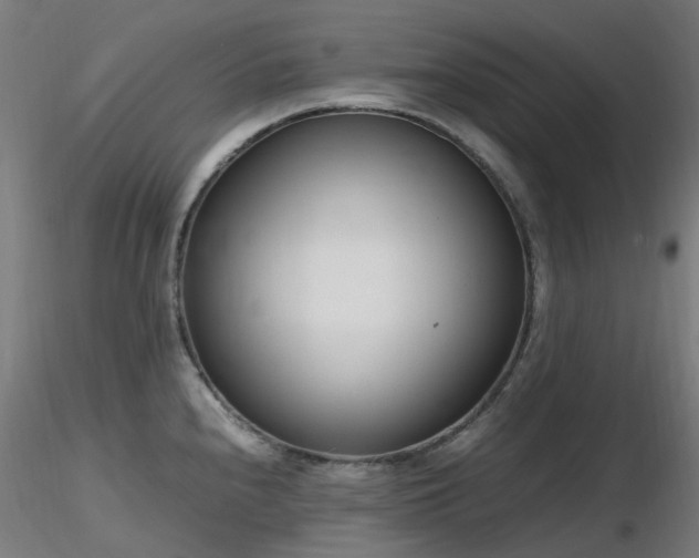 X0000116841240200912181450