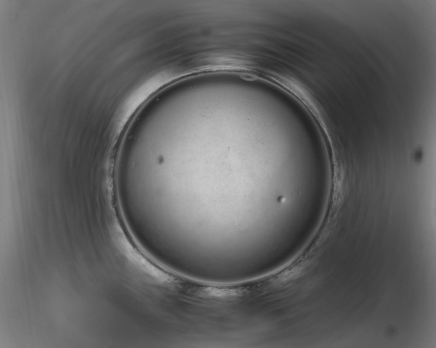X0000116841243200912181450