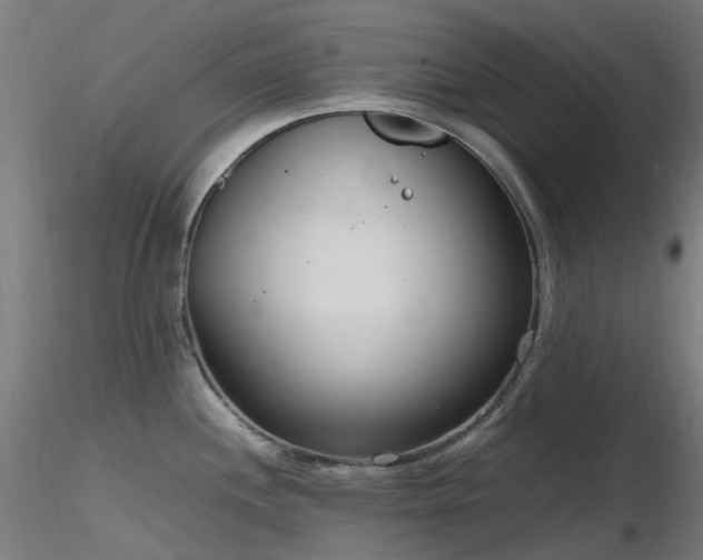 X0000116841244200912181450