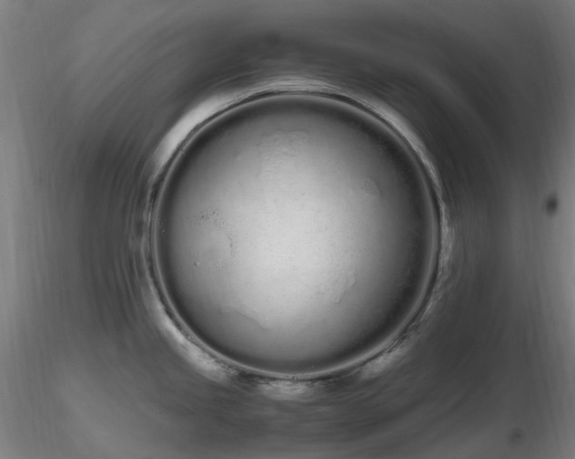X0000116841245200912181450